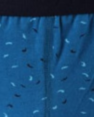 آبی نفت طرحدار